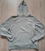 Grijze hoodie van In gold we trust maat L, Maat 52/54 (L), Ophalen of Verzenden, Zo goed als nieuw, In Gold We Trust
