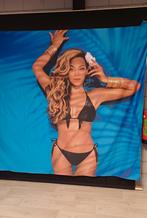 Beyonce spandoek 2.50 x 2.80 mtr, Gebruikt, Ophalen of Verzenden, Canvas of Doek, Muziek