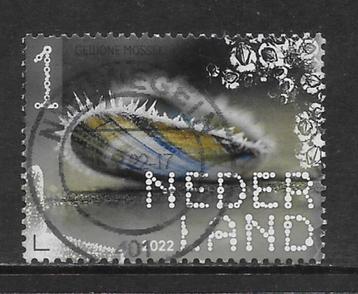 2022, Fort Ellewoutsdijk, Mossel [3997] (K3008) beschikbaar voor biedingen