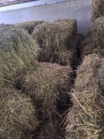 Te koop hooi, Dieren en Toebehoren, Dierenvoeding, Ophalen of Verzenden, Vee