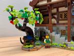 Lego Middeleeuwse smid 21325, Ophalen of Verzenden, Zo goed als nieuw, Complete set, Lego