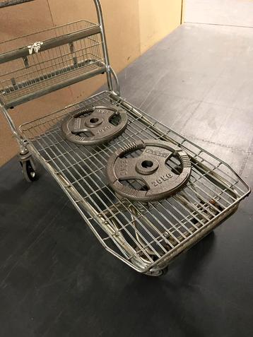 Fitness Gewichten Gietijzer 20kg 50mm beschikbaar voor biedingen