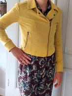 G-Maxx Jasje Mt S Geelgroen, Geel, Ophalen of Verzenden, Zo goed als nieuw, Maat 36 (S)