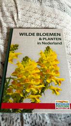 Wilde bloemen en planten, Ophalen of Verzenden, Nieuw, Bloemen, Planten en Bomen