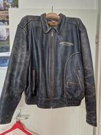 Harley davidson jack. 3xl, Motoren, Dames, Jas | leer, Harley Davidson, Ophalen of Verzenden