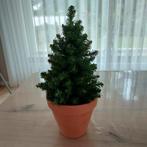Mini Kerstboompje in Terracotta Pot, Ophalen of Verzenden