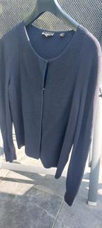 Ted Baker donkerblauw vest, Maat 38/40 (M), Blauw, Ophalen of Verzenden, Zo goed als nieuw
