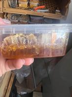 Verse Raathoning, Diversen, Levensmiddelen, Ophalen of Verzenden