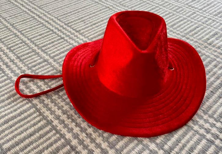 Dames hoed - vilt - 58 cm, Kleding | Dames, Hoeden en Petten, Zo goed als nieuw, Hoed, 58 cm (L, 7¼ inch) of meer, Ophalen of Verzenden