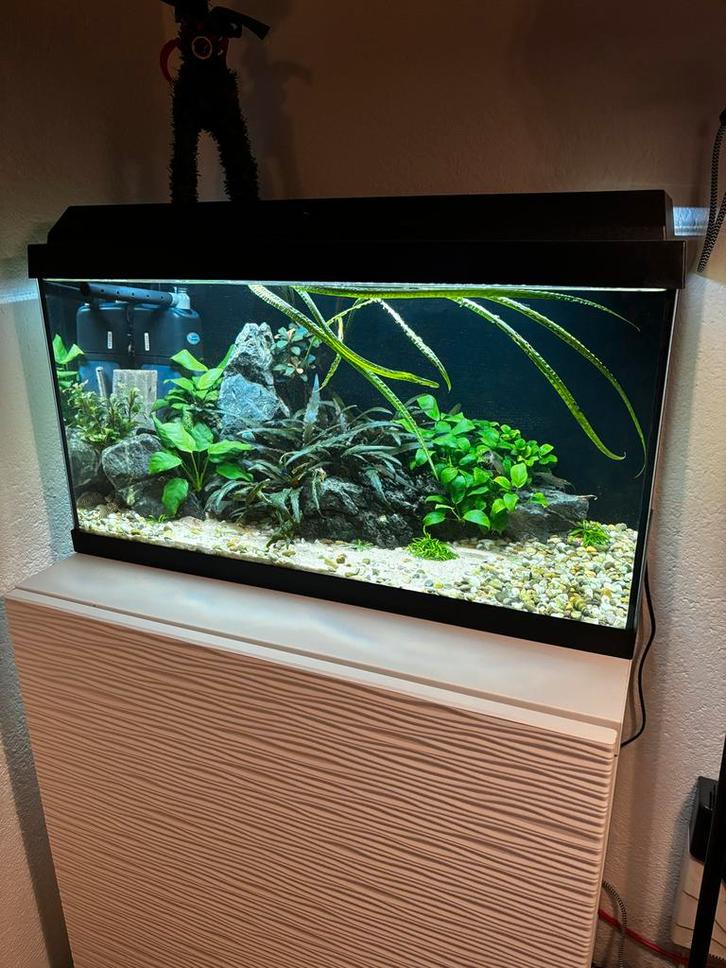 Juwel 60cm aquarium, Dieren en Toebehoren, Vissen | Aquaria en Toebehoren, Zo goed als nieuw, Gevuld zoetwateraquarium, Ophalen