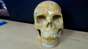 Crazy Lace Agaat Skull 5" beschikbaar voor biedingen