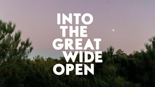 Into The Great Wide Open 2025, Tickets en Kaartjes, Evenementen en Festivals, Drie personen of meer, Meerdaags
