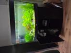 Aquarium (compleet), Dieren en Toebehoren, Vissen | Aquaria en Toebehoren, Ophalen, Zo goed als nieuw, Gevuld zoetwateraquarium