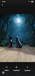 Nieuwe Leopard Beelden - €130 per stuk, Ophalen