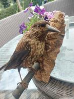 Notenkraker, Verzamelen, Dierenverzamelingen, Ophalen of Verzenden, Vogel, Opgezet dier