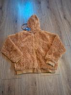 Nieuwe winterjas teddy Vinrose Maat 134-140, Meisje, VinRose, Nieuw, Ophalen of Verzenden