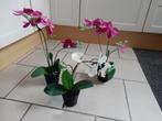 kunstplantjes orchidee  3 stuks, Ophalen, Gebruikt, Binnen