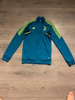 Adidas juventus vest maat S, Kleding | Heren, Blauw, Nieuw, Ophalen of Verzenden, Adidas
