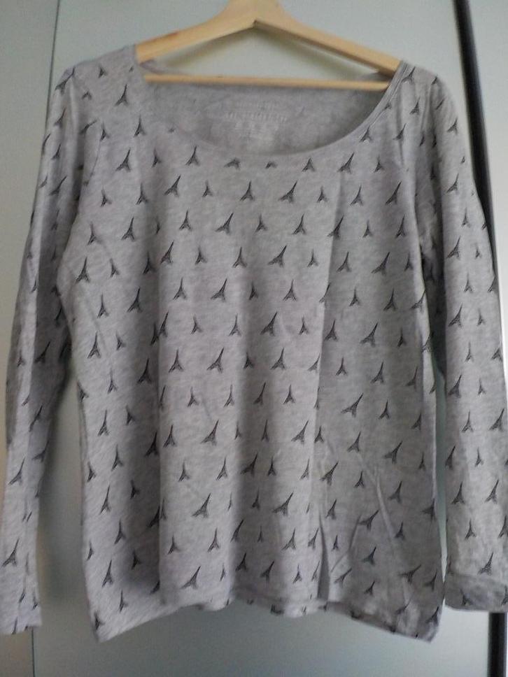 tshirt lange mouw, ronde hals. Grijs print eiffeltoren mt 42, Kleding | Dames, T-shirts, Zo goed als nieuw, Maat 42/44 (L), Grijs