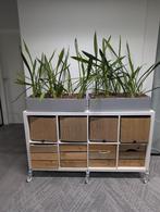 IKEA kast op wielen – met planten – ideaal als room divider, Huis en Inrichting, Ophalen, 100 tot 150 cm, 100 tot 150 cm, Zo goed als nieuw