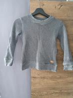 Trui maat 128, Kinderen en Baby's, Kinderkleding | Maat 128, Ophalen of Verzenden, Zo goed als nieuw, Jongen, Trui of Vest