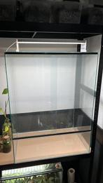 Terrarium op maat. Scherpe prijzen!, Dieren en Toebehoren, Reptielen en Amfibieën | Toebehoren, Ophalen, Nieuw, Terrarium of Paludarium