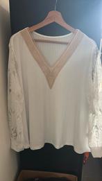 Tuniek met kant, Ophalen of Verzenden, Zo goed als nieuw, Shein Curve, Blouse of Tuniek