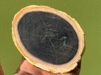 Versteend hout schijf plak dubbel gepolijst mineralen 1, Verzamelen, Mineralen en Fossielen, Ophalen of Verzenden, Mineraal