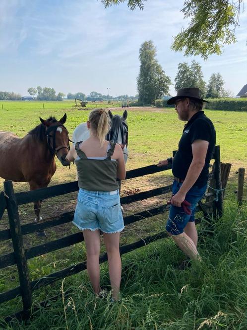 Locatie voor starten zorgboerderij, Dieren en Toebehoren, Stalling en Weidegang, Stalling, 4 paarden of pony's of meer