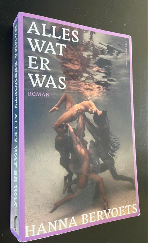 Hanna Bervoets - Alles wat er was, Boeken, Literatuur, Zo goed als nieuw, Nederland, Ophalen of Verzenden