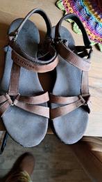 Sketchers sandalen maat 41 - Zo goed als nieuw!, Kleding | Dames, Schoenen, Bruin, Sketchers, Zo goed als nieuw, Sandalen of Muiltjes