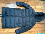 Jack wolfskin crystal palace nieuwe zwarte donsjas maat s, Kleding | Dames, Jassen | Winter, Zwart, Nieuw, Ophalen of Verzenden