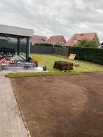 Graszoden/aanleg, Ophalen of Verzenden, Nieuw, 20 m² of meer