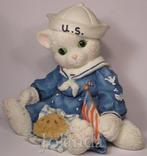 Calico Kittens America Short Hair poes poezen, Ophalen of Verzenden, Zo goed als nieuw, Dier