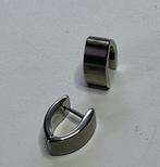 Boccia gematteerde zilverkleurige titanium oorbellen, Ophalen of Verzenden, Zo goed als nieuw, Zilver, Overige materialen