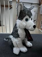 Grote Husky Knuffel - 80cm - Blauwe Ogen, Ophalen, Zo goed als nieuw, Hond