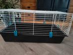 Cavia konijnenhok binnen, Dieren en Toebehoren, Zo goed als nieuw, Hok, 75 tot 110 cm, Cavia