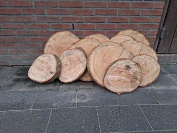 Houtschijven verschillende maten (9 jaar gedroogd) beschikbaar voor biedingen