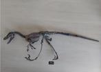 Replica dino skelet, Verzamelen, Mineralen en Fossielen, Ophalen of Verzenden, Fossiel