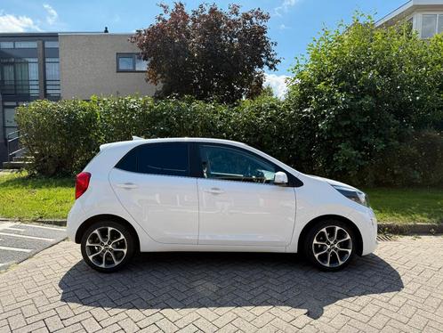 Kia Picanto luxe uitvoering Dynamic line 1.0 Cvvt 2019 Wit, Auto's, Kia, Particulier, Picanto, ABS, Achteruitrijcamera, Airbags
