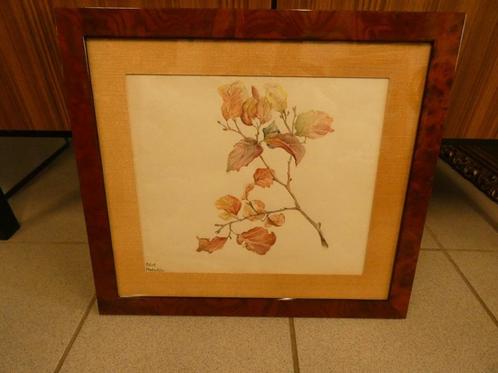 aquarel en tekening "takje"., Antiek en Kunst, Kunst | Schilderijen | Klassiek, Ophalen of Verzenden