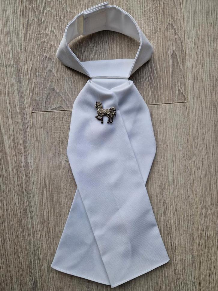 Harry's Horse Wedstrijdblouse incl plastron/speld Maat 152, Kinderen en Baby's, Kinderkleding | Maat 152, Zo goed als nieuw, Jongen of Meisje