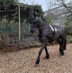 Enkelspan mentuig / borsttuig, Dieren en Toebehoren, Ophalen, Overige soorten