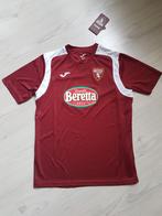 Torino FC kids voetbalshirt in size 12 years, Maat XS of kleiner, Ophalen of Verzenden, Zo goed als nieuw, Shirt
