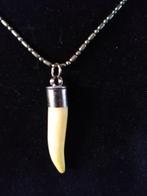 Krokodil Tand Hanger - Met ketting of wax-coard: Size:42/45, Overige materialen, Verstelbaar, Verzenden, Wit