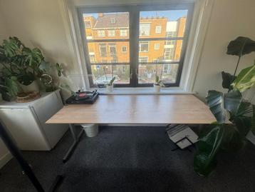 Verstelbaar bureau - Licht hout, staalonderstel, kabelbak 