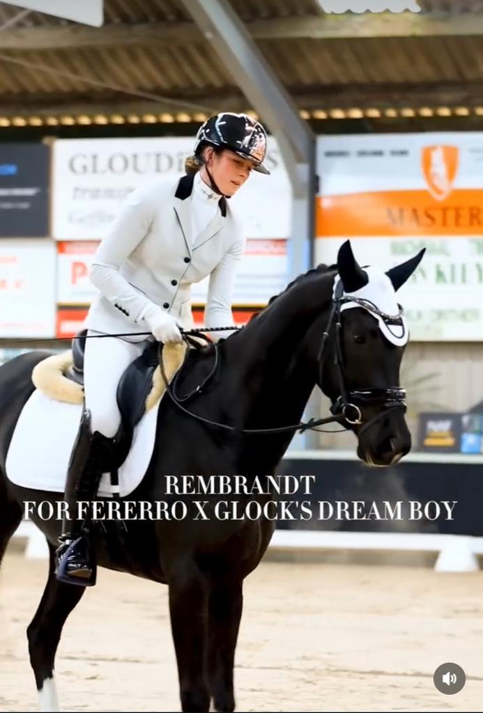 ️Lesgever, zadelmak maken, trailer laden, trauma training.️, Dieren en Toebehoren, Paarden en Pony's | Overige Paardenspullen