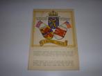 Kaart Bevrijding van Enschede 1 april 1945, Boeken, Oorlog en Militair, Gelezen, Algemeen, Ophalen of Verzenden, Tweede Wereldoorlog