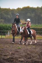 Pony's- in-verkoop, zadelmak maken, training, Ophalen of Verzenden