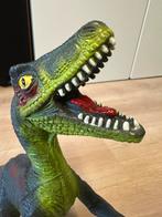 Raptor Dino, Ophalen of Verzenden